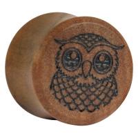 Cute Owl on Olive
