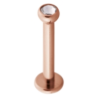 Piercing in buza cristal Basic