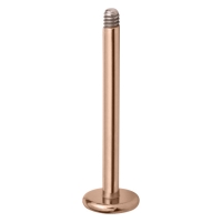 Piercing micro in buza Rosegold