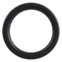 Tunnel Replacement Rim