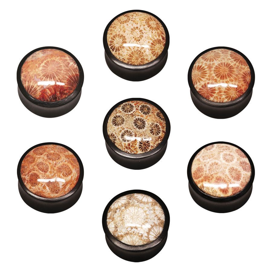 corn cu fossilized Coral Inlay