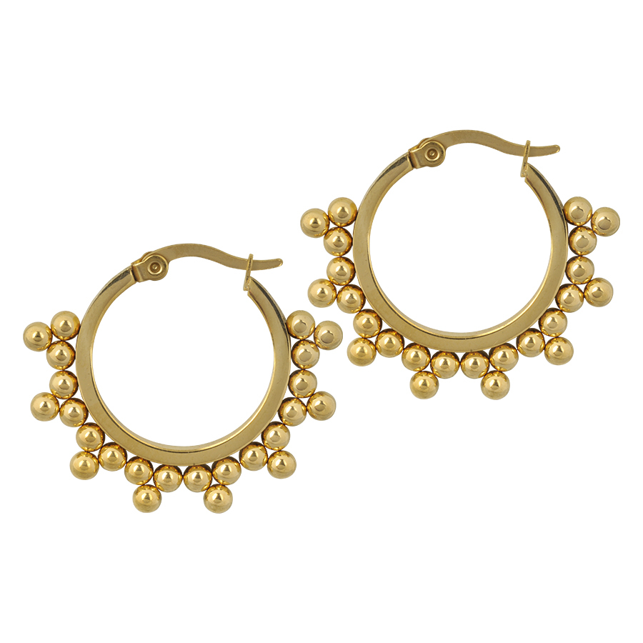 Ornaments Earrings